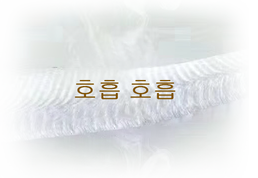 창수 Meishunqi 편직 기술 유한 회사