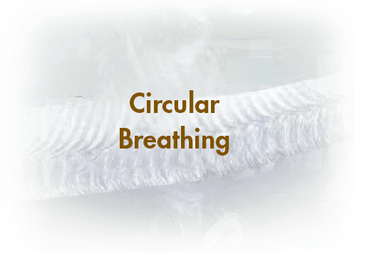 Changshu Meishunqi Knitting Technology Co., Ltd.